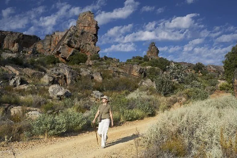 Cederberg Wilderness Area 4