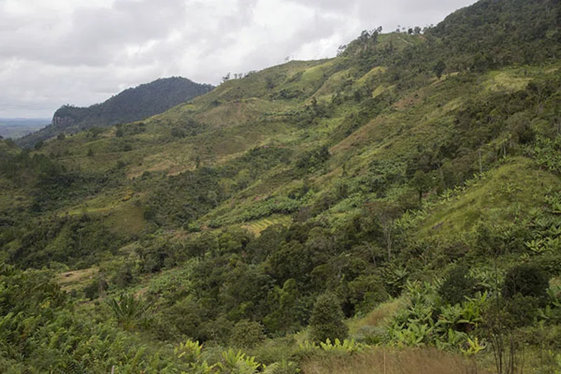 Ranomafana National Park 5