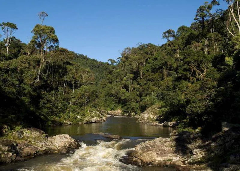Ranomafana National Park 4