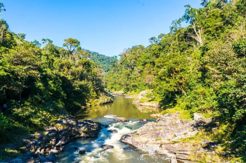 Ranomafana National Park 3
