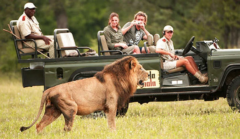 Sabi Sabi Game Reserve 2