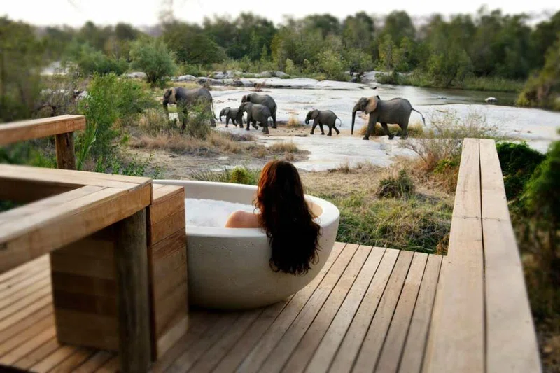 Sabi Sabi Game Reserve 3