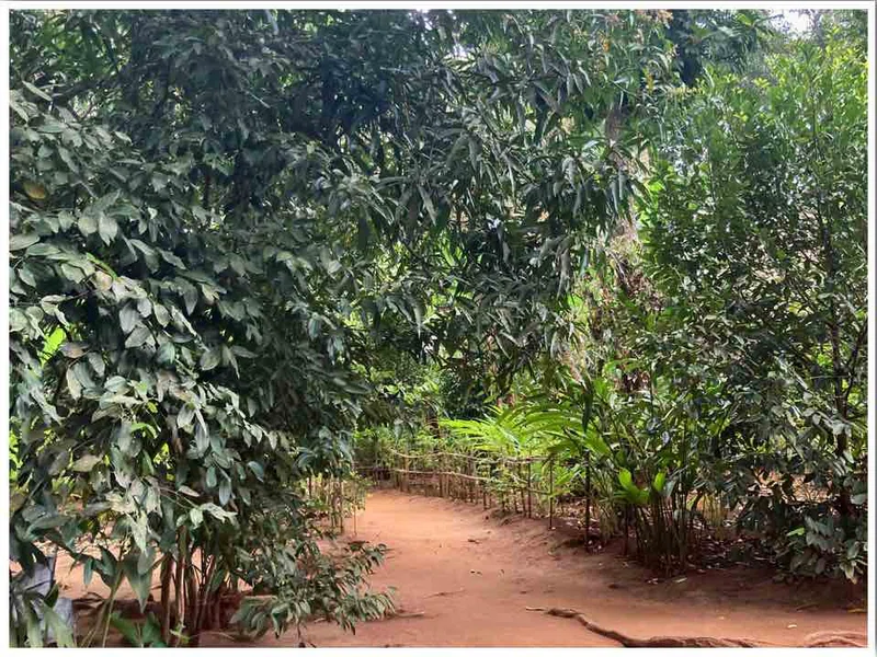 Spice Farm Zanzibar 3