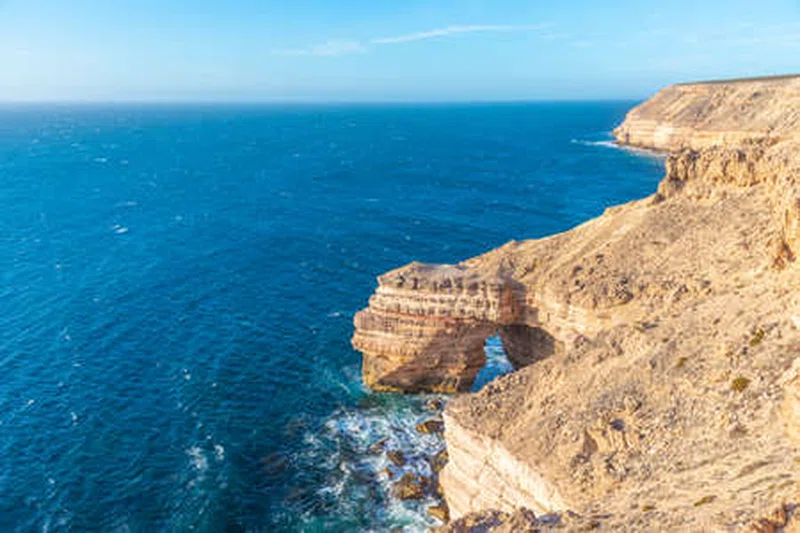 Cape Cross 3