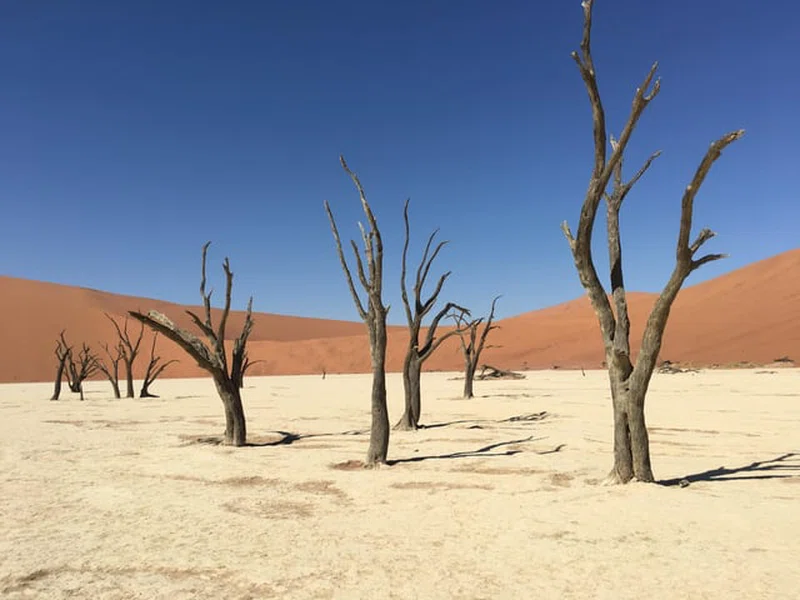 Deadvlei 2