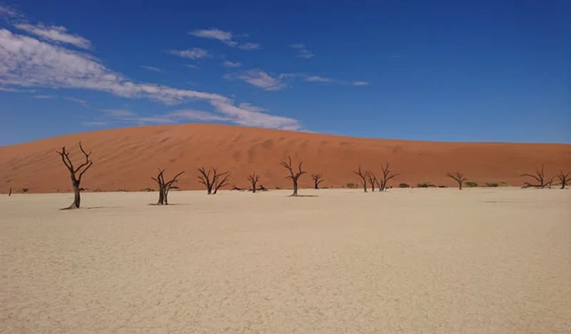 Deadvlei 3