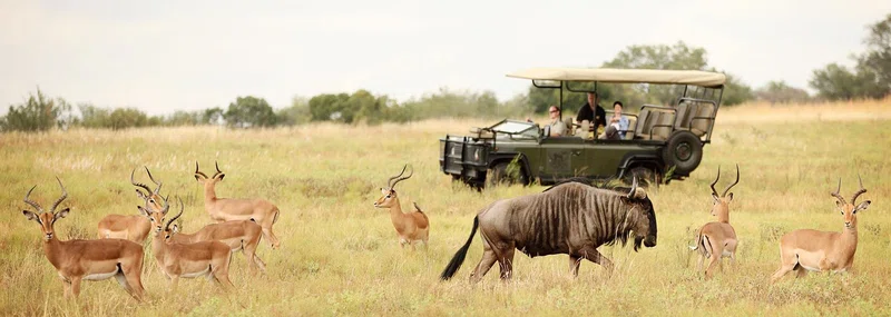Northern Kruger National Park 4