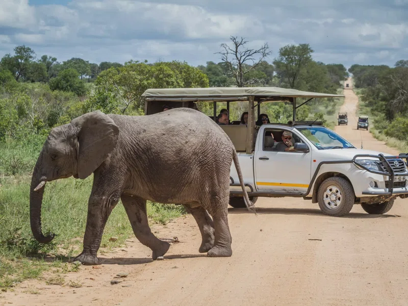 Northern Kruger National Park 5