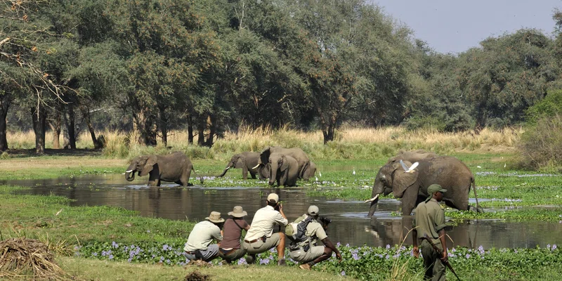 Zambezi National Park 2