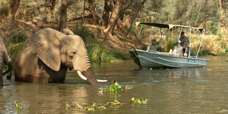 Zambezi National Park 3