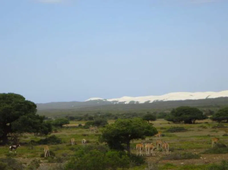 De Hoop Nature Reserve 3