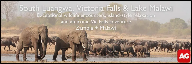 Nkhotakota Wildlife Reserve 2