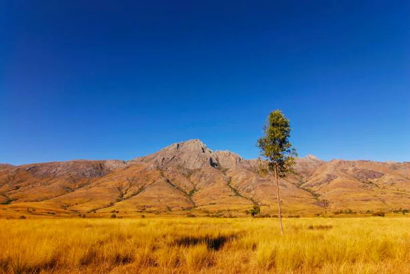 Andringitra National Park 4