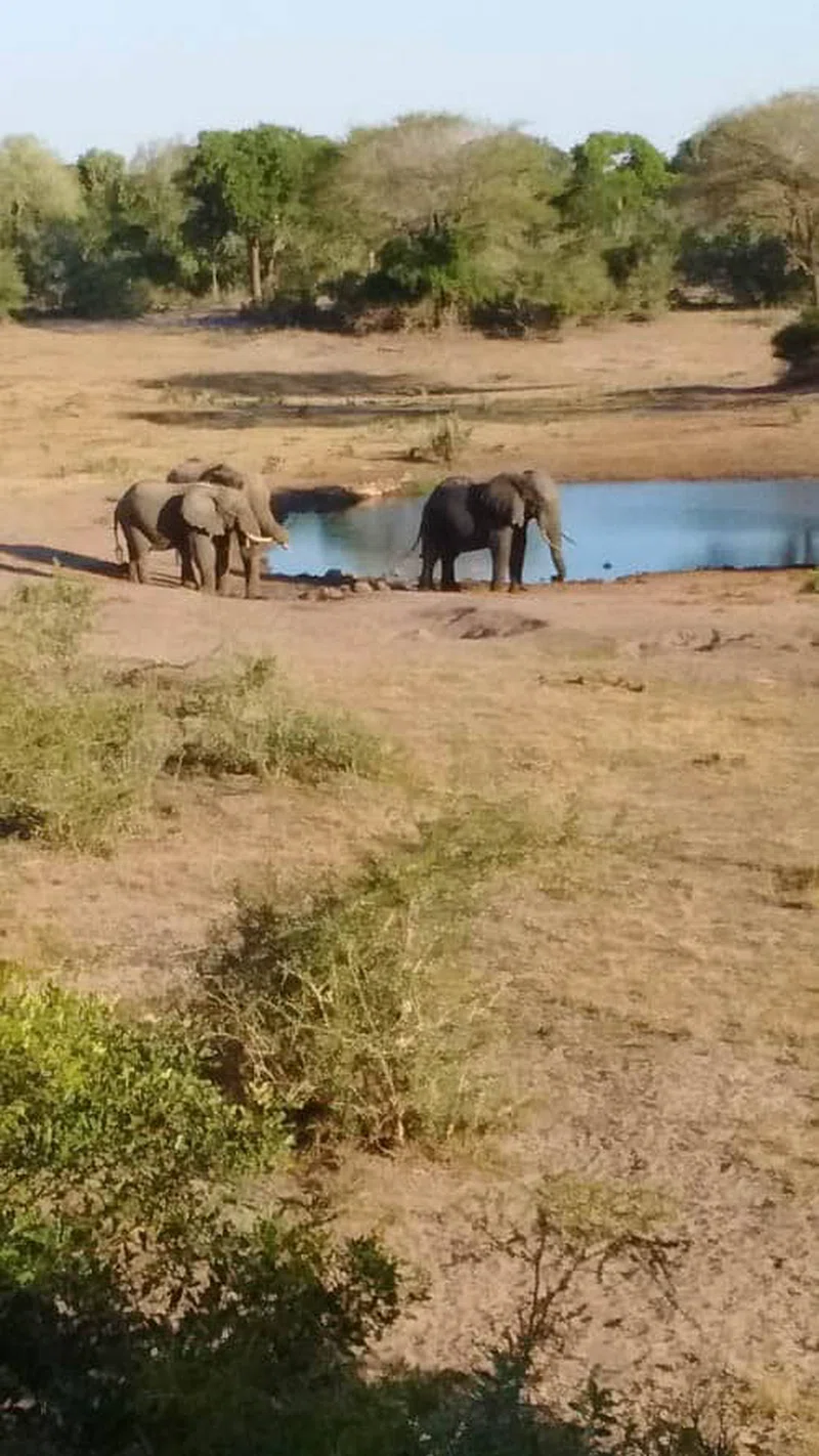 Tembe Elephant Park 2