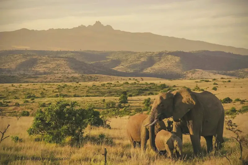 Borana Ranch 3