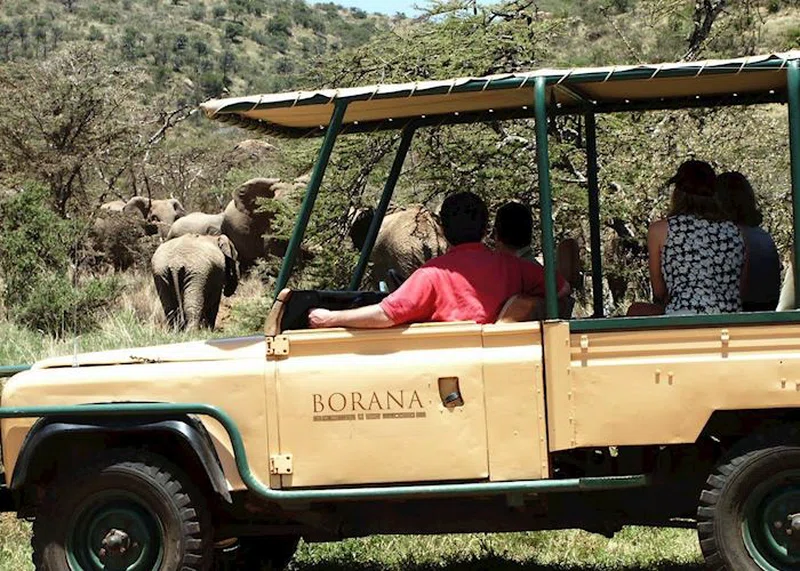 Borana Ranch 2