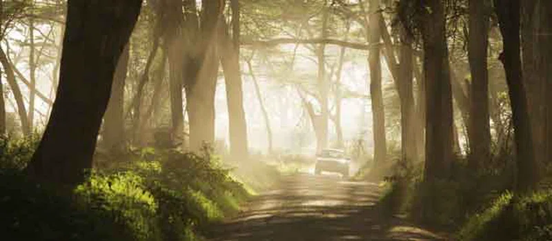 South Viphya Forest Reserve 2
