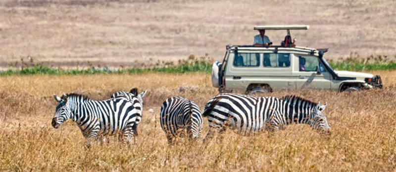 Pongola Game Reserve 3