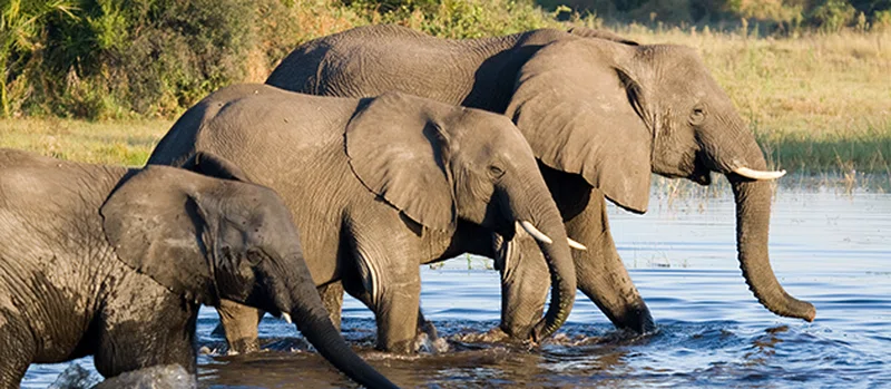 Pongola Game Reserve 2