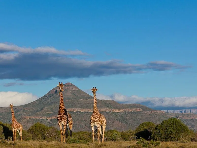 Samara Private Game Reserve 2