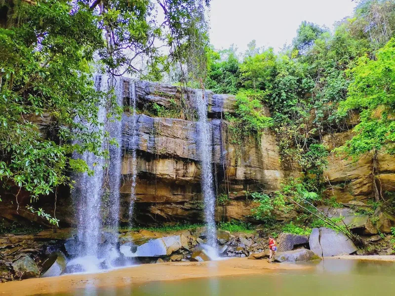 Shimba Hills National Reserve 2
