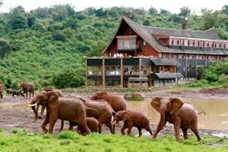 Solio Ranch 2