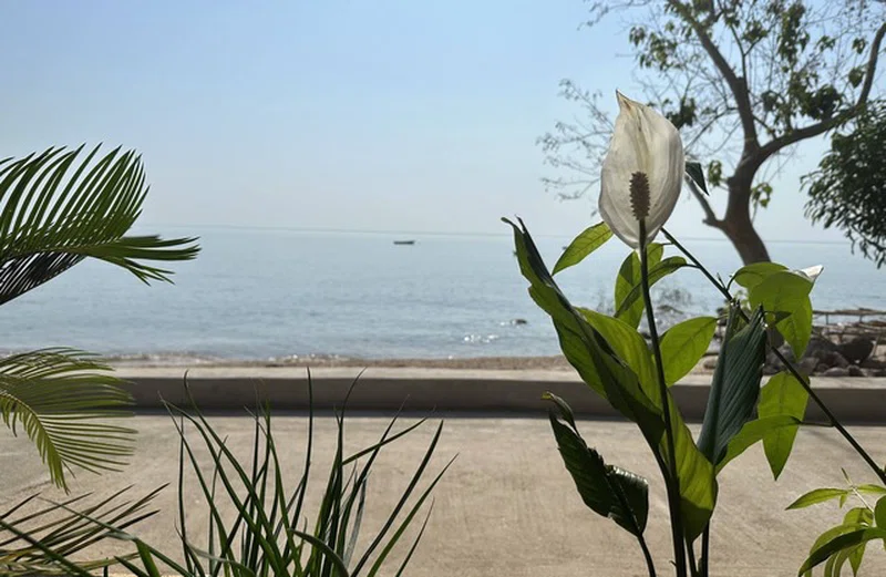 Chintheche 3