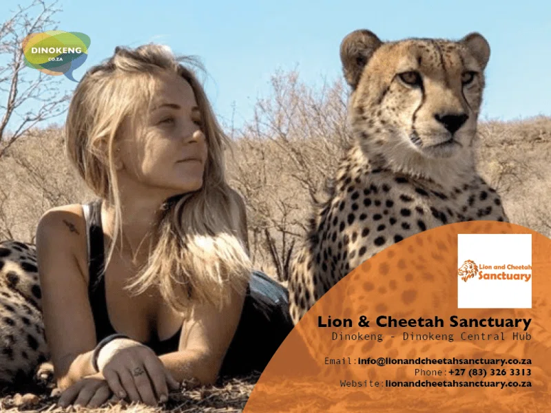 Dinokeng Game Reserve 2