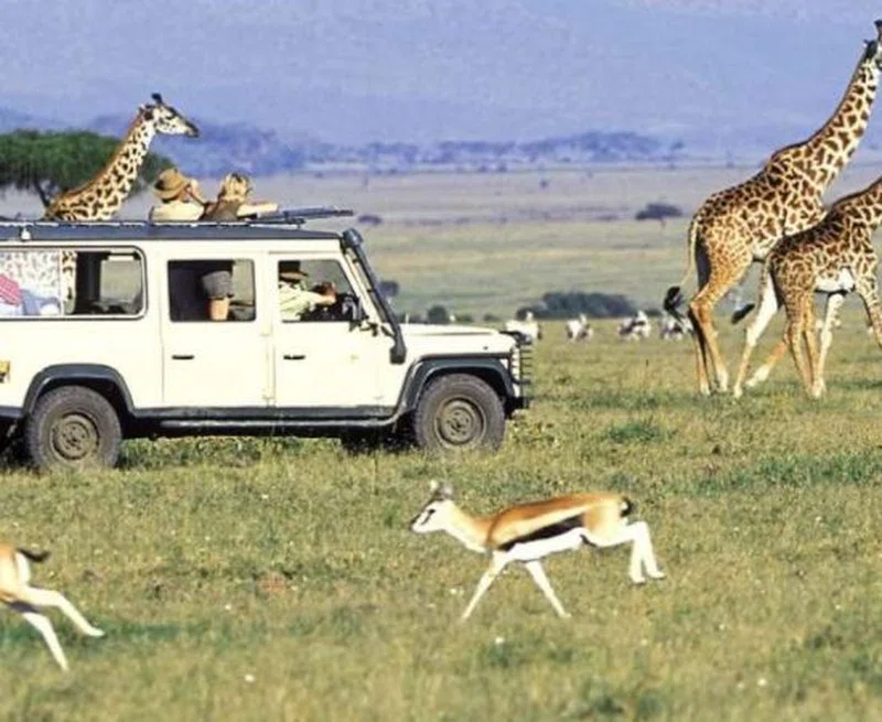 Soysambu Conservancy 4