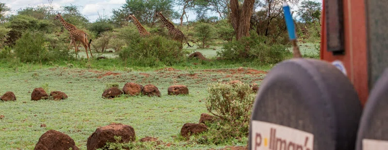 Soysambu Conservancy 2