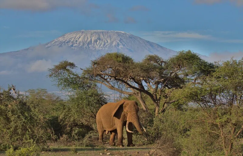 Soysambu Conservancy 3