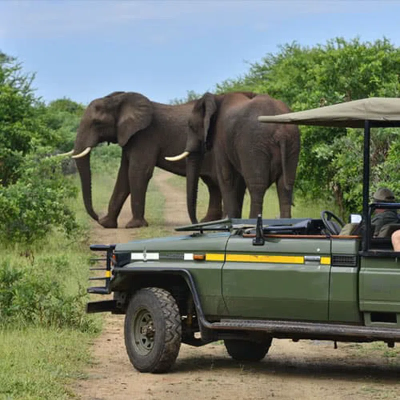 Victoria Falls Private Game Reserve 3