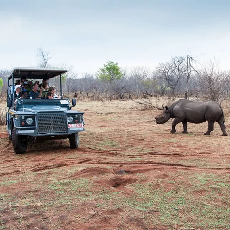Victoria Falls Private Game Reserve 4