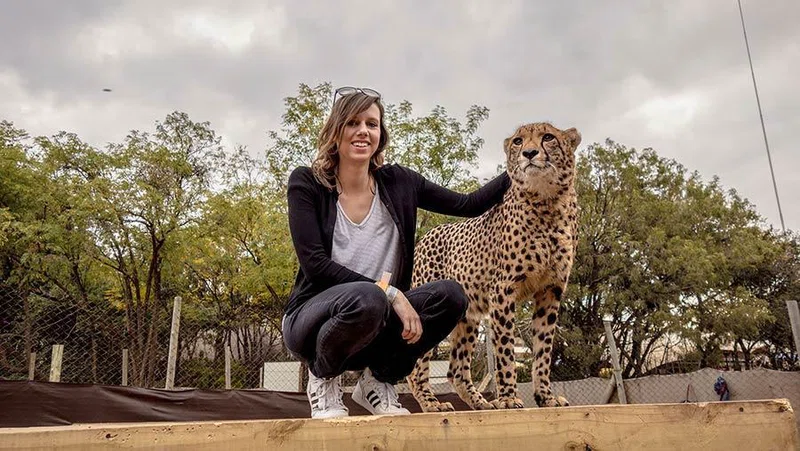 The Lion Park Johannesburg 4