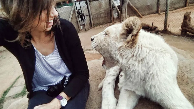 The Lion Park Johannesburg 2