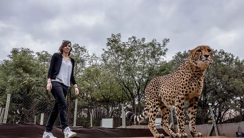 The Lion Park Johannesburg 3