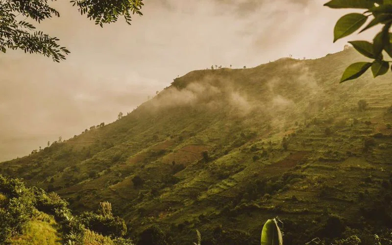Uluguru Mountains 2