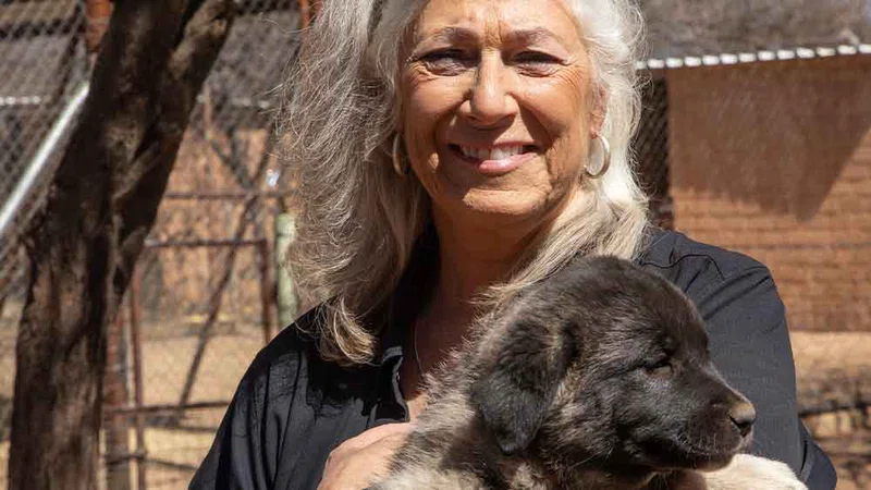 Cheetah Conservation Foundation 4