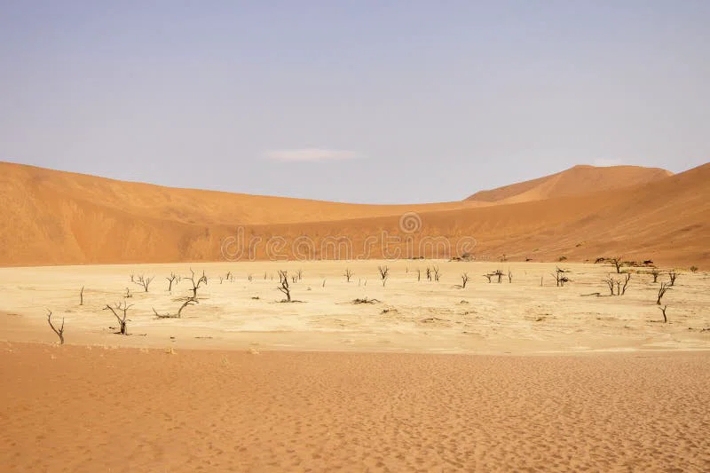 Big Daddy Dune 4