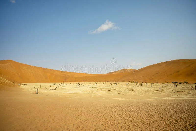 Big Daddy Dune 3