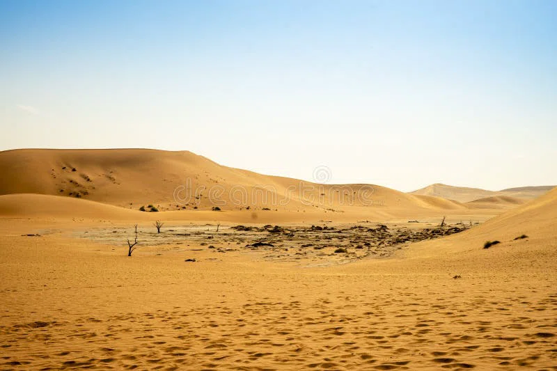 Big Daddy Dune 2