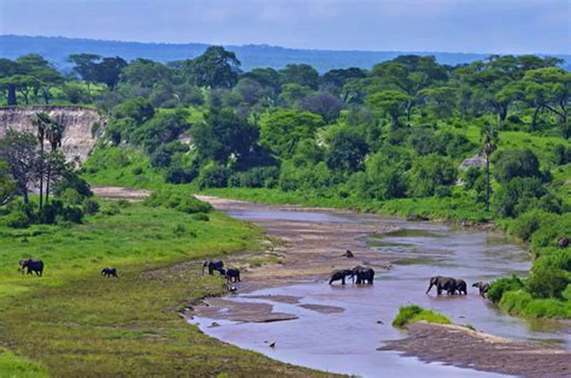 Southern Tarangire National Park 3