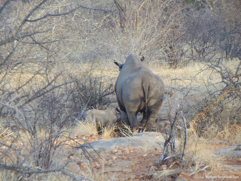 Sera Wildlife Conservancy 4