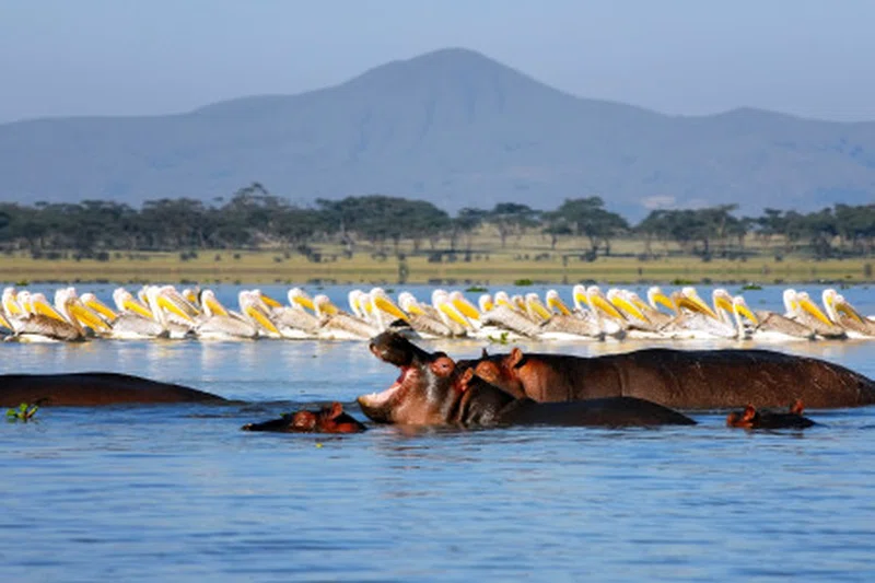 Sera Wildlife Conservancy 3