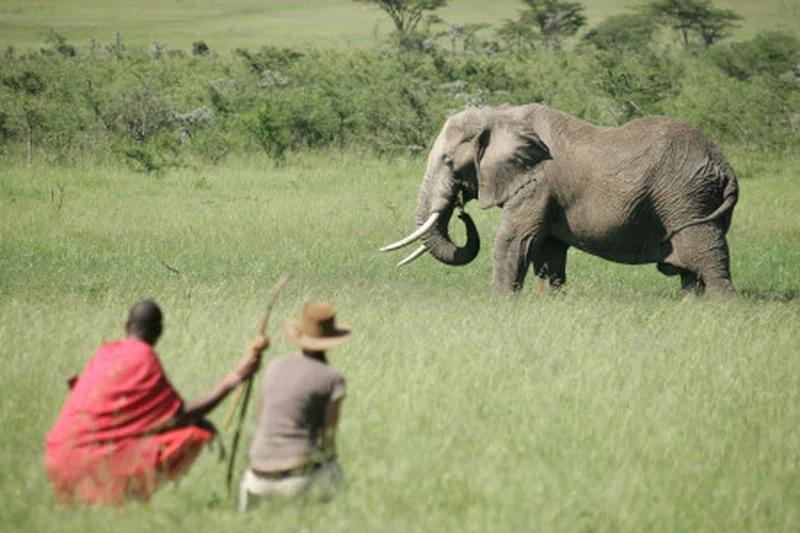 Sera Wildlife Conservancy 2