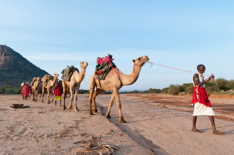 Sera Wildlife Conservancy 5