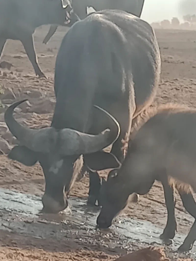 Taita Wildlife Sanctuary 2
