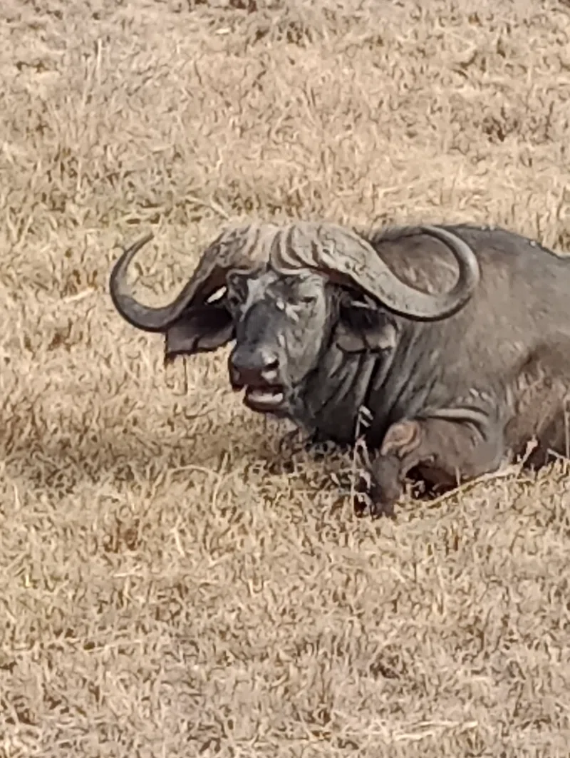 Taita Wildlife Sanctuary 4