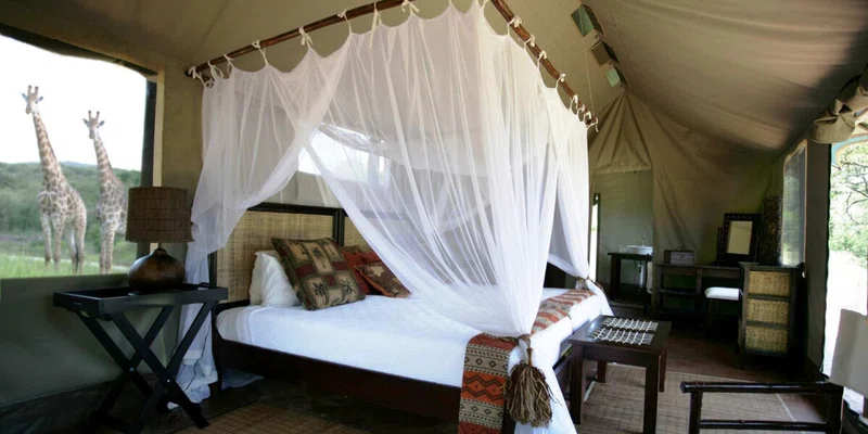 Thula Thula Private Game Reserve 4