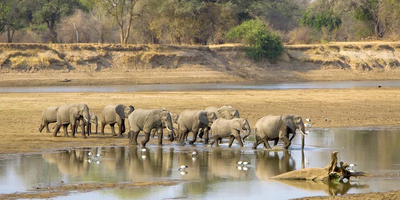 Thula Thula Private Game Reserve 2